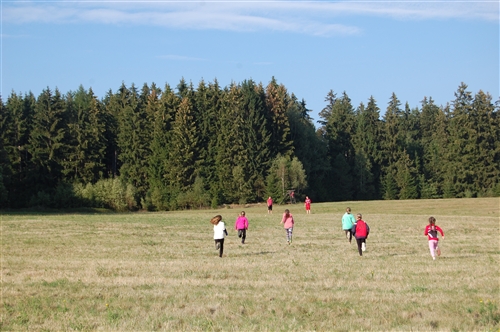Obrázek v galerii